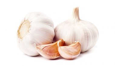Garlic(వెల్లుల్లి)