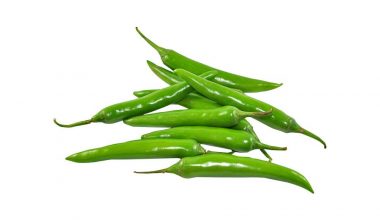 Green Chillis (పచ్చిమిర్చి)