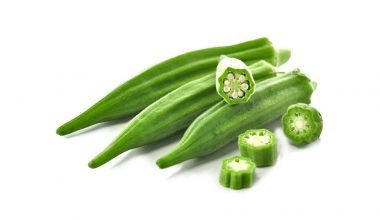 Ladies Finger (బెండకాయ)