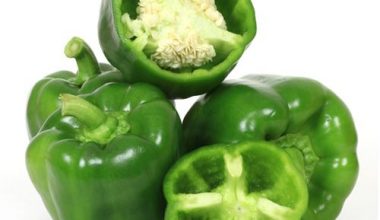 Capsicum (క్యాప్సికమ్)