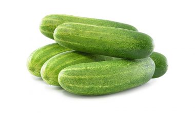 Cucumber (దోసకాయ)