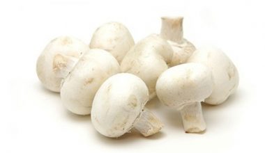 Mushrooms(పుట్టగొడుగు)