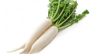 White Radish (ముల్లంగి)